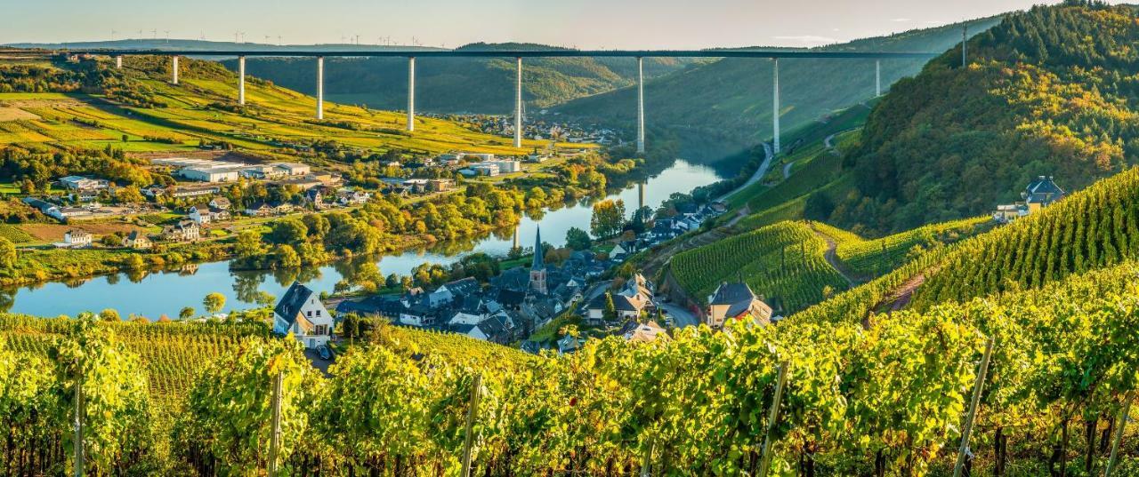 Ferienhaus Am Moselsteig Юрциґ Екстер'єр фото